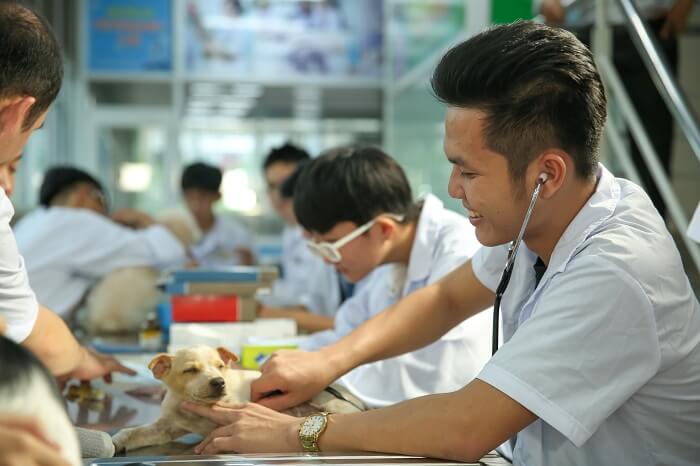 Điều kiện, thủ tục thành lập công ty thuốc thú y mới nhất 3 Thủ tục thành lập công ty thuốc thú y