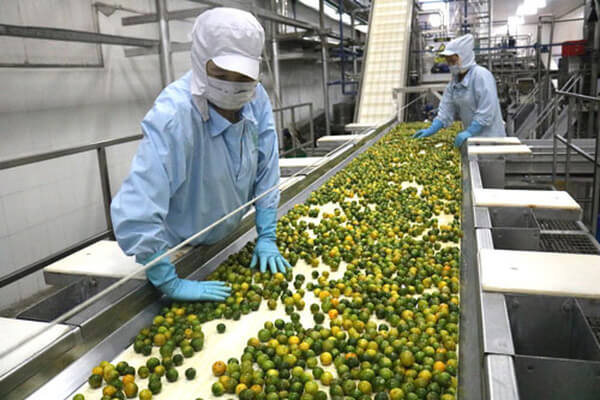 Điều kiện, thủ tục thành lập công ty nông sản mới nhất 3 Những lưu ý trước khi thành lập công ty nông sản